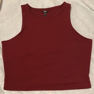 Burgundy Red Crop Top